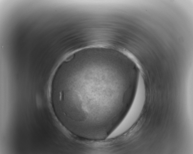 X0000088731099200706071635