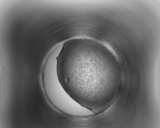 X0000088731100200706071635