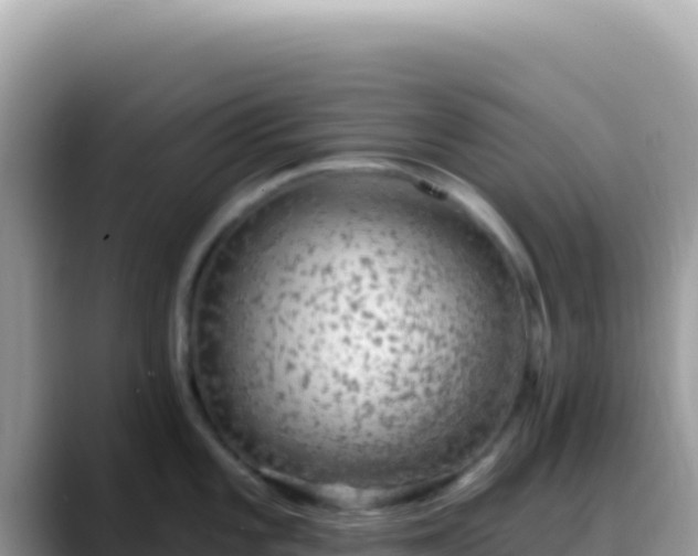 X0000088731101200706071635