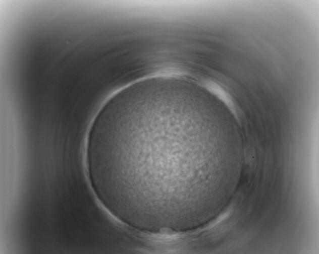 X0000088731103200706071635
