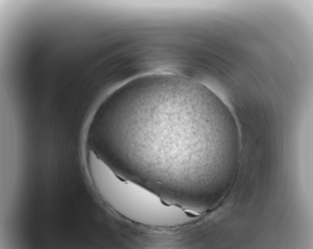 X0000088731104200706071635