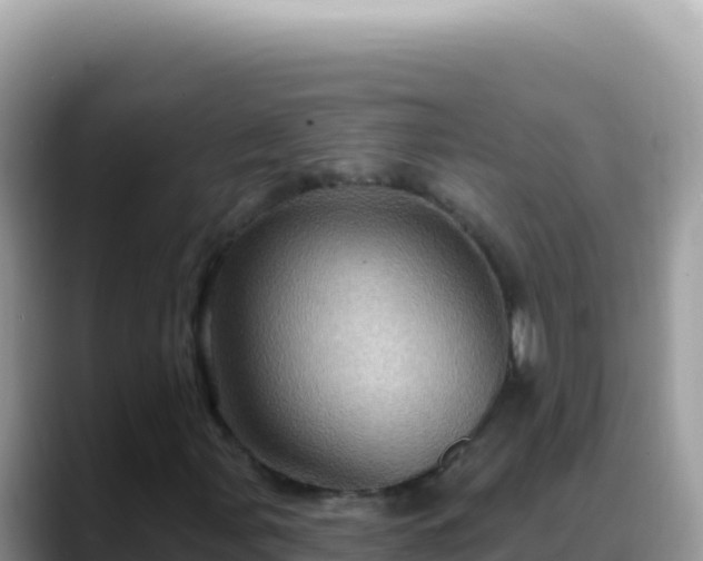 X0000088731107200706071634