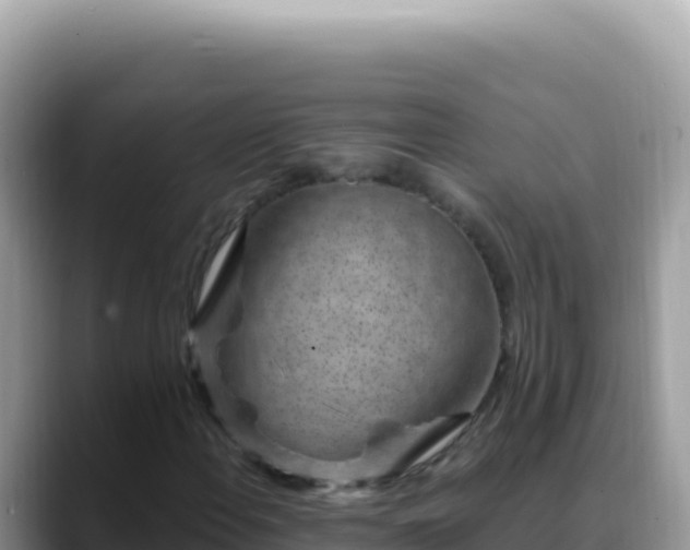 X0000088731108200706071634