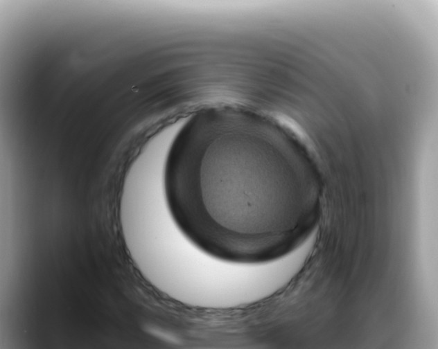 X0000088731112200706071634