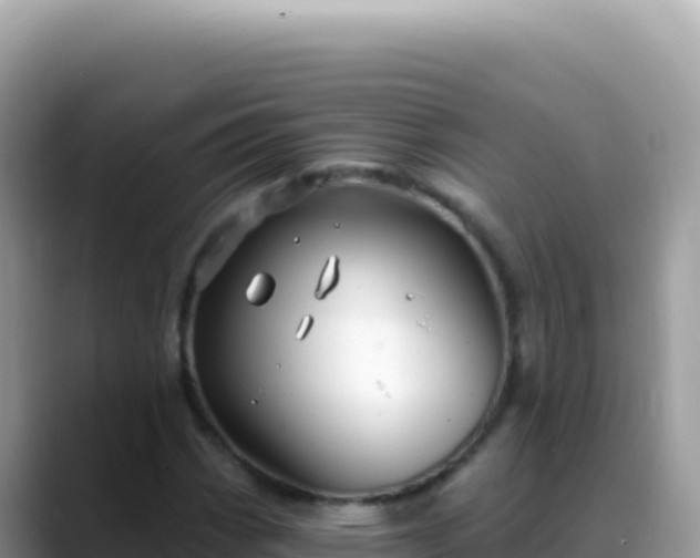 X0000088731113200706071634