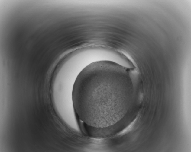 X0000088731115200706071634