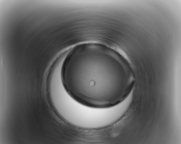 X0000088731116200706071634