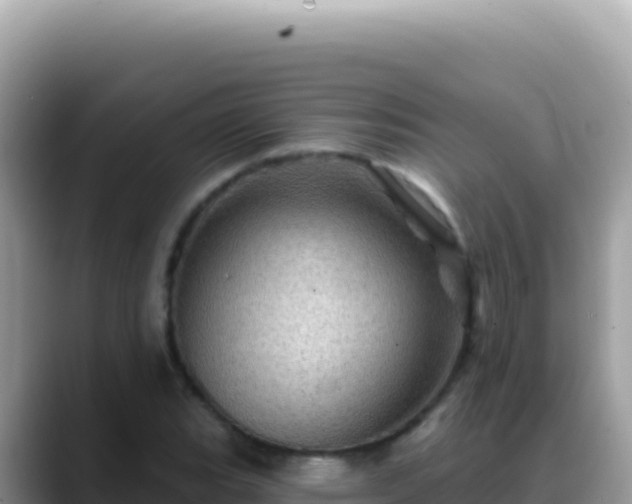 X0000088731119200706071634