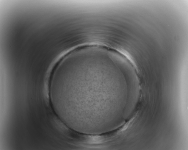 X0000088731120200706071634
