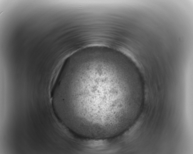 X0000088731121200706071634