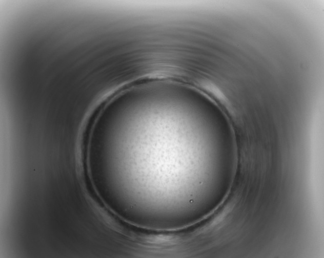 X0000088731122200706071634