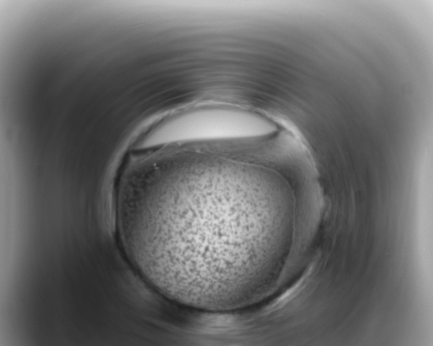 X0000088731123200706071634