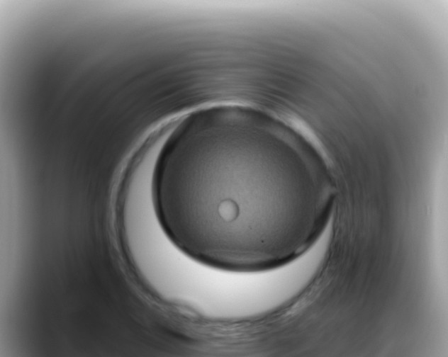 X0000088731124200706071634