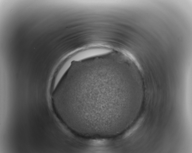 X0000088731125200706071634