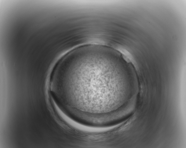 X0000088731128200706071634