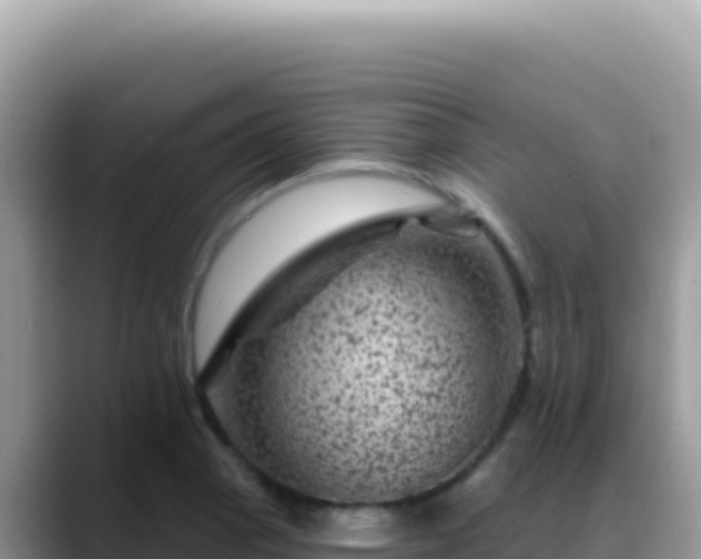 X0000088731129200706071634
