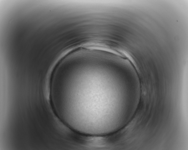 X0000088731131200706071634