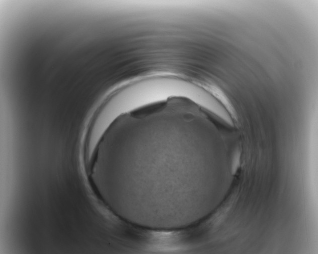 X0000088731132200706071634