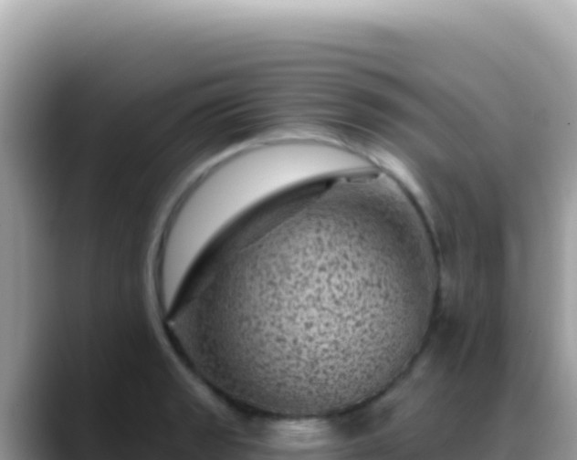 X0000088731133200706071634