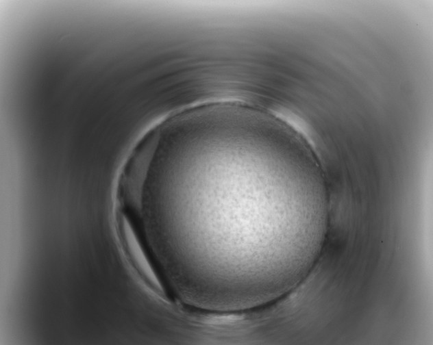 X0000088731135200706071634