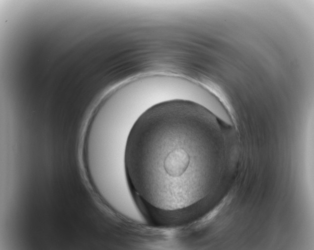 X0000088731136200706071634