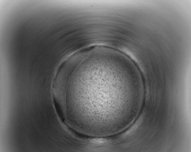 X0000088731137200706071634