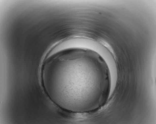 X0000088731138200706071634