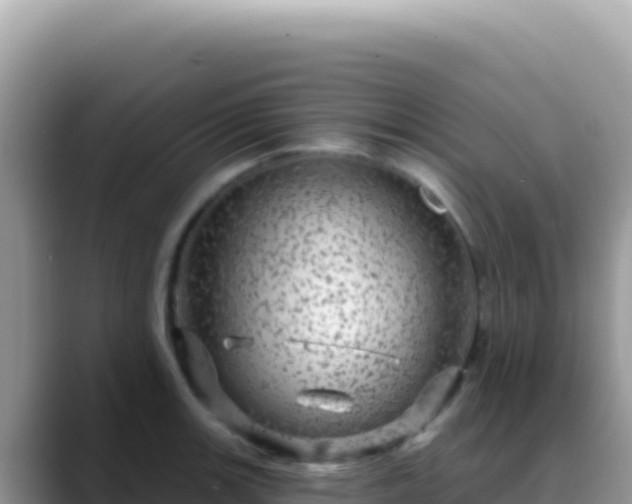 X0000088731139200706071634
