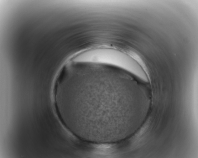 X0000088731141200706071634