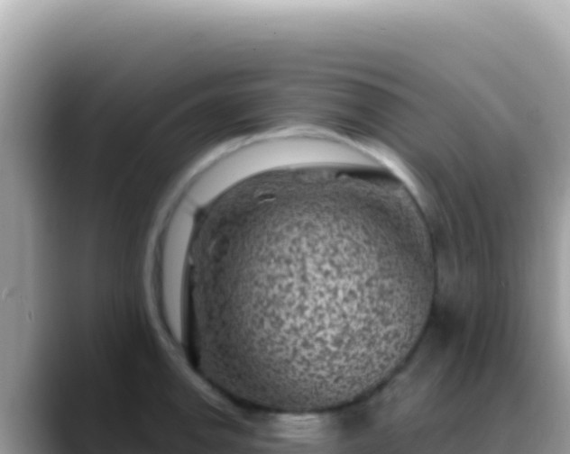 X0000088731142200706071634