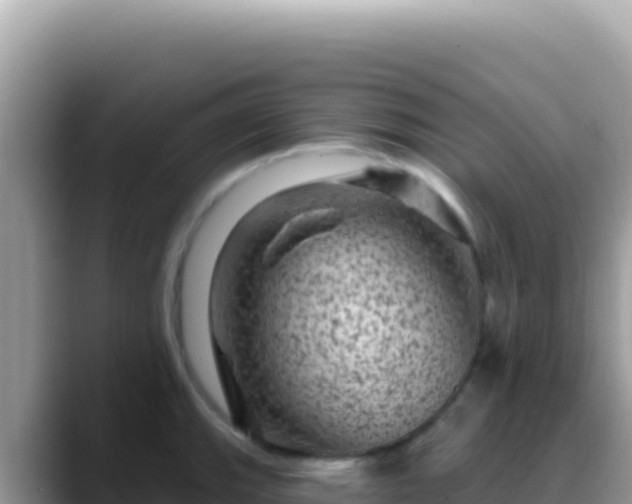 X0000088731143200706071635