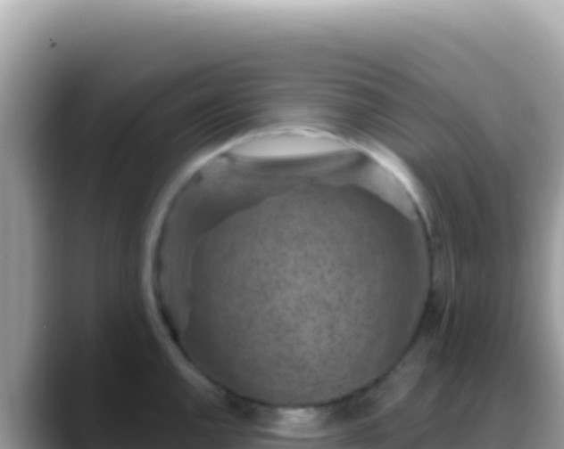 X0000088731144200706071635