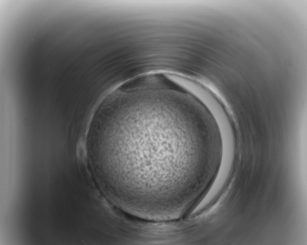 X0000088731145200706071635