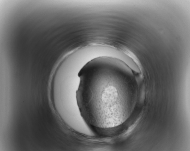 X0000088731146200706071635