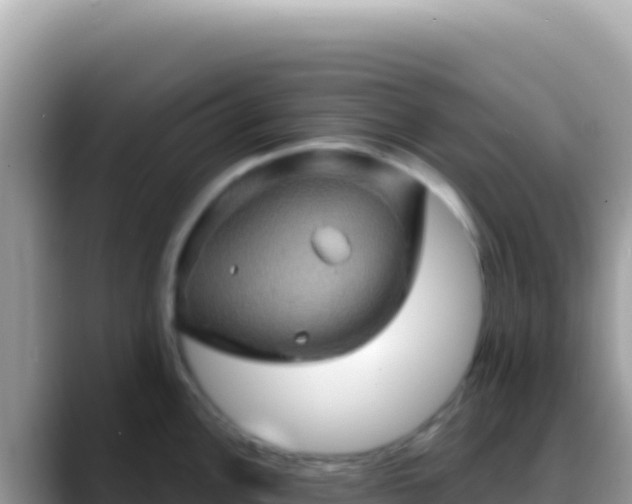 X0000088731148200706071635