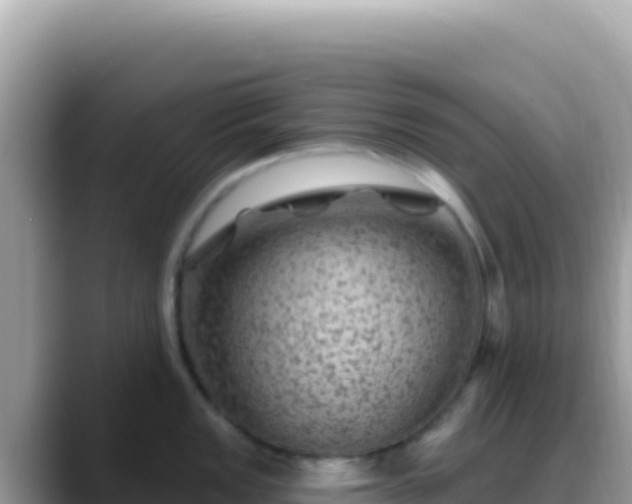 X0000088731149200706071635