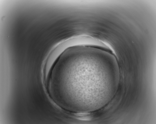 X0000088731151200706071635