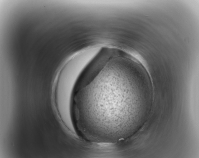 X0000088731152200706071635