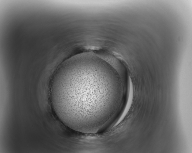 X0000088731153200706071634