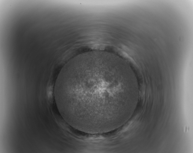 X0000088731154200706071634