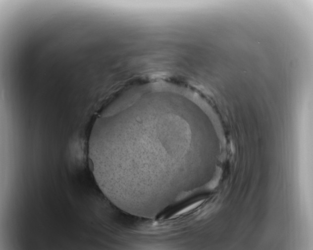 X0000088731156200706071634