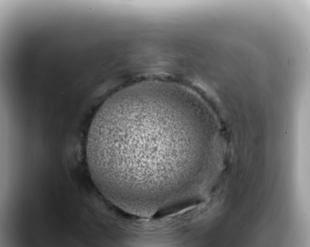 X0000088731159200706071634
