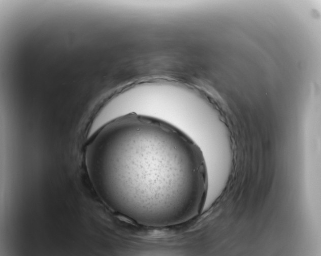 X0000088731160200706071634