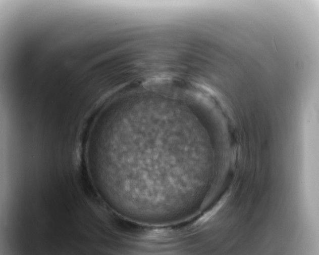 X0000088731161200706071634