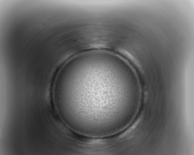 X0000088731162200706071634