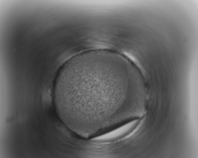 X0000088731163200706071634