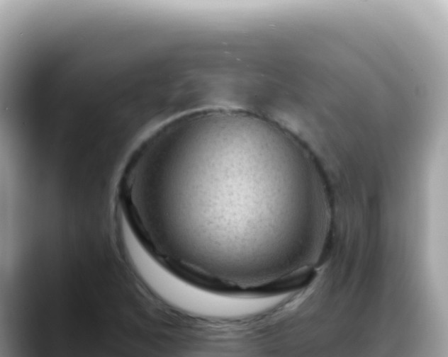X0000088731168200706071634
