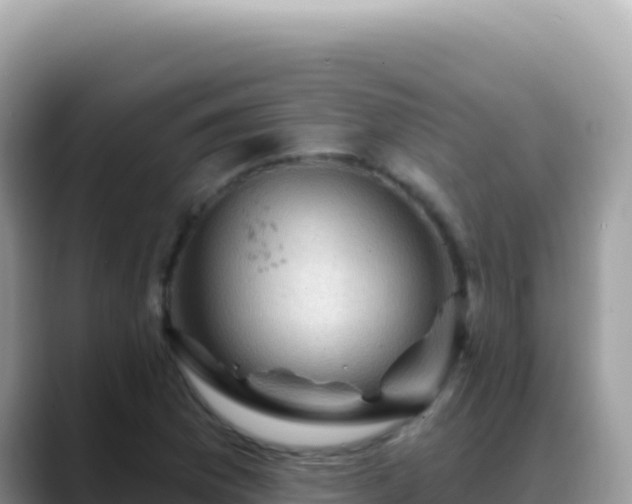 X0000088731169200706071634