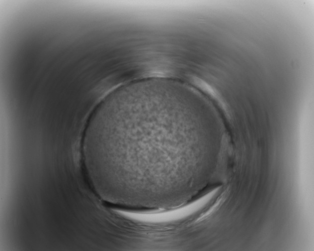 X0000088731170200706071634
