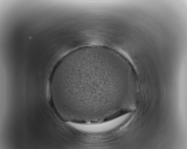 X0000088731171200706071634